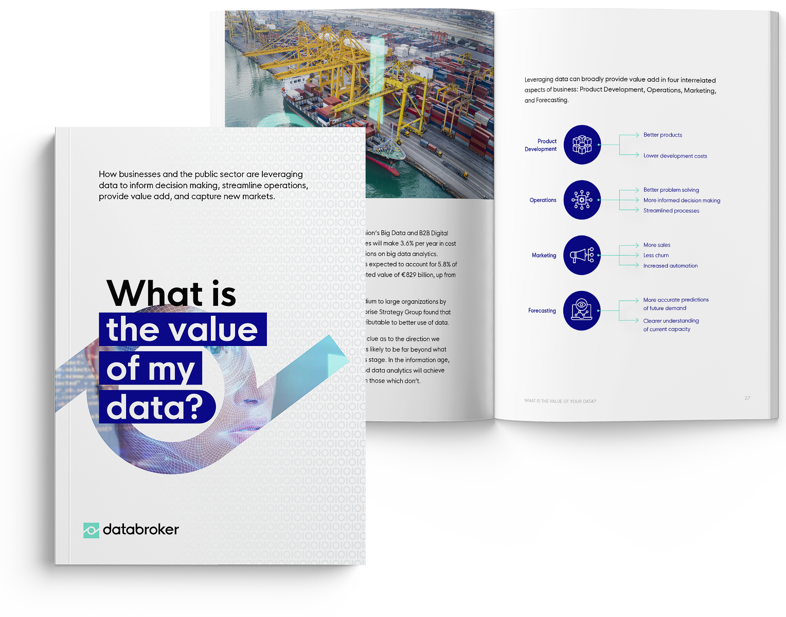 "What is the value of your data?" - the Databroker eBook